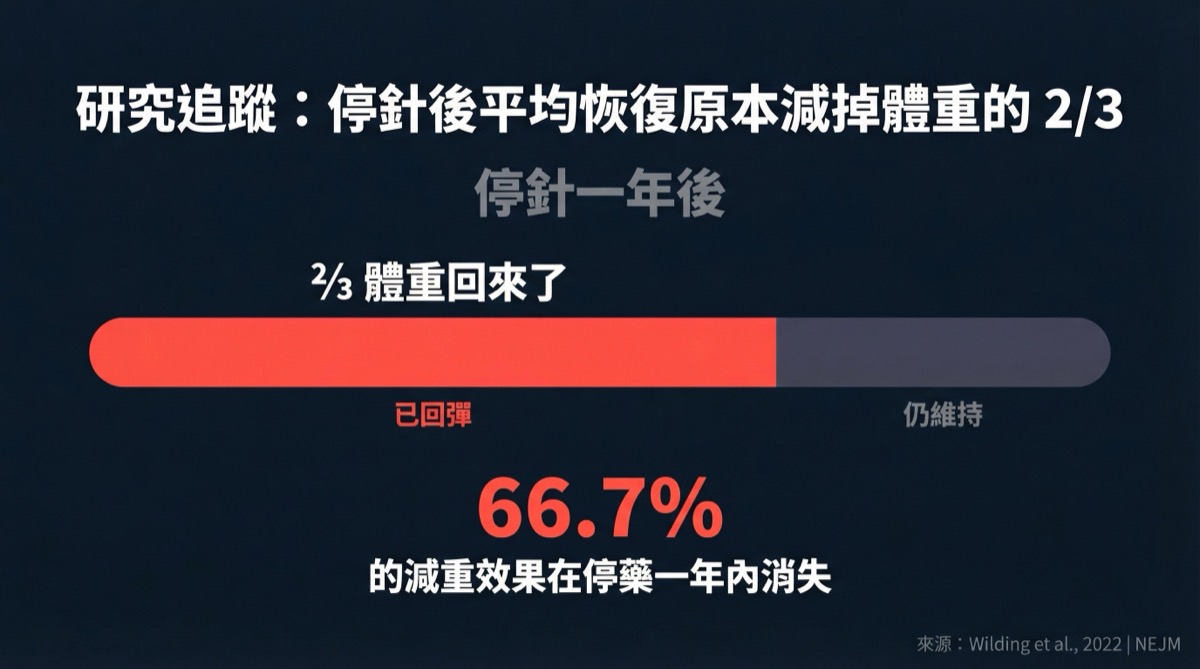 停針後復胖數據